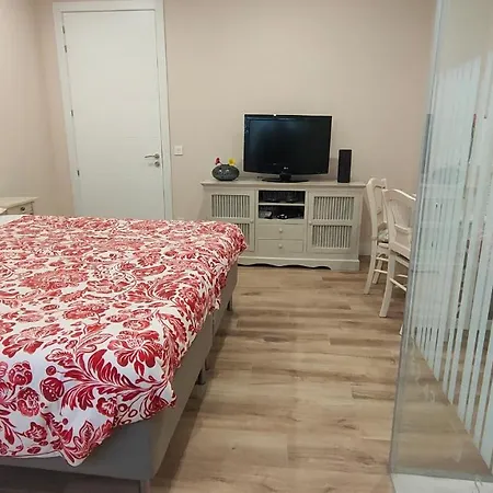 Guggenheim Center Homestay