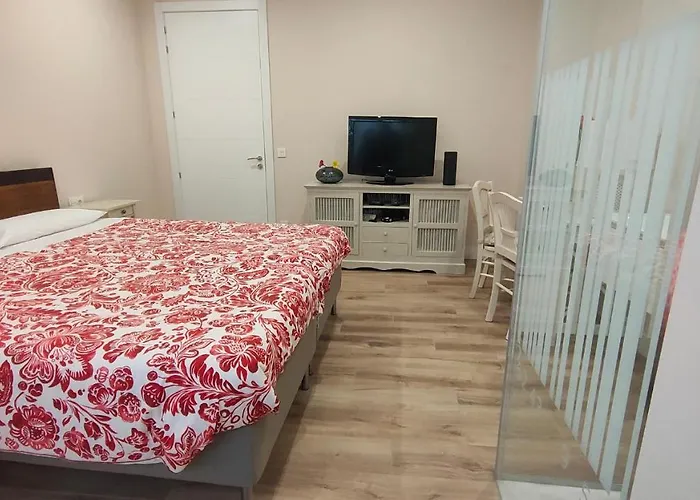 Guggenheim Center Homestay